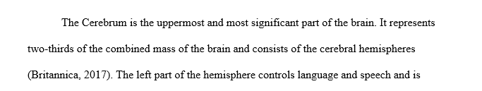 write a short (1-2 pages) essay on one part of the brain.