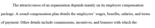 Create a strategic compensation plan overview to include the use of direct and indirect compensation, pay philosophy