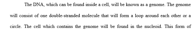 Discuss the organization of DNA. Conclude by discussing the new method of human identification that examines the proteins of human hair.