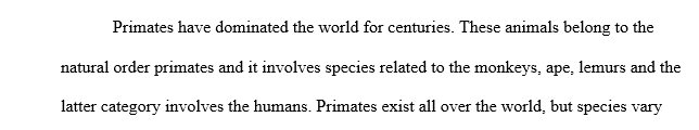 Do an essay explaining the behaviors of prosimians, New World Monkeys, Old World Monkeys, apes and human.