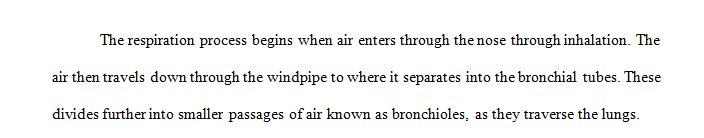 Explain the basic process of the respiratory system from initial respiration through gas exchange.