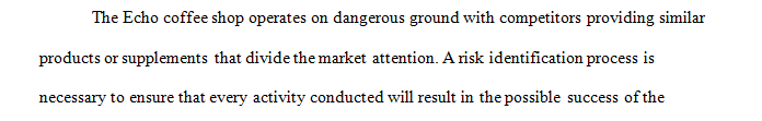 Write an essay on the risk identification process