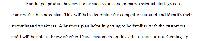 Identify several key business strategies that the business should consider.