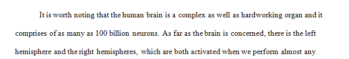 The left hemisphere specializes in verbal and analytical functions