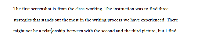 Artifacts of your own choosing that show important elements of your writing process.