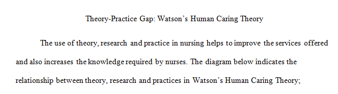 Describe the chosen theory, research, and practice guideline or standard.