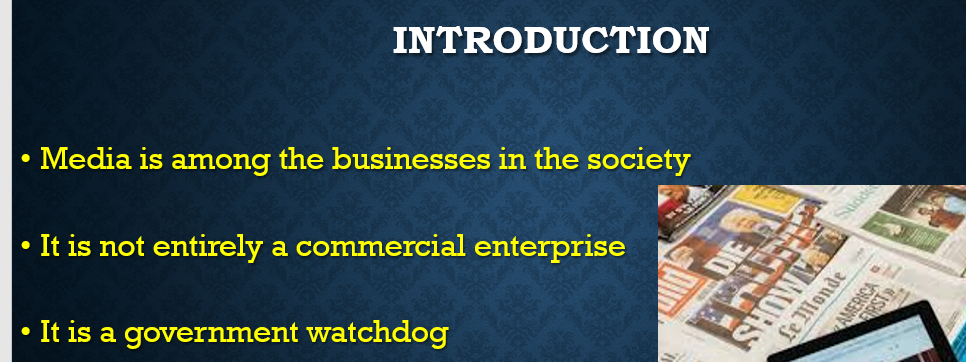 Identify and describe the possible roles of the media in influencing government and its citizens using specific descriptive examples.