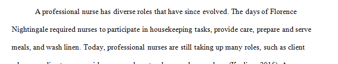 Reflect on the role the professional Nurse.