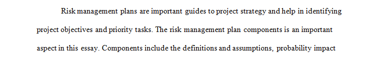 What are the inputs to the risk management plan