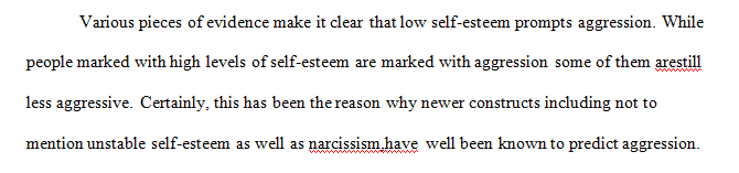 Are people who show narcissistic personality traits or present narcissistic personality disorder prone to developing violent aggressive behaviors