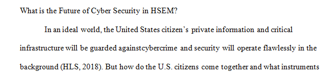 What is the future of cyber security in HSEM