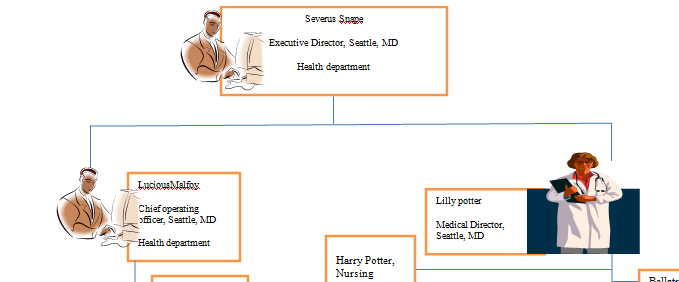 As a new health care manager you will need to have an organizational chart of the facility and of your department.