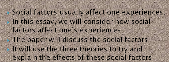 Biopsychosocial Model Person-in-Environment (PIE) System and Bronfenbrenner’s Ecological Theory