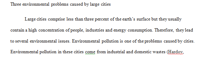 Describe TWO Social Justice issues and TWO Economic issues associated with large cities.