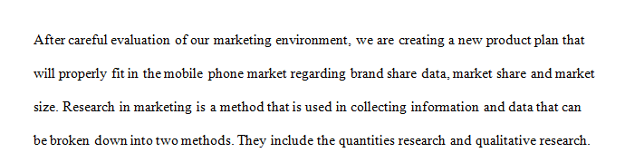 Evaluated the marketing environment and established some marketing goals for MM