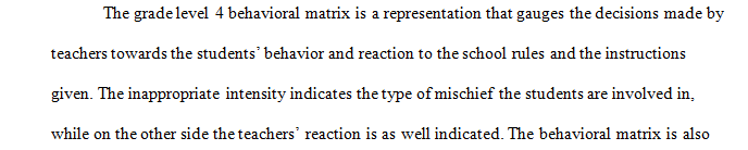 Final Integration and Representation of the Behavioral Matrix