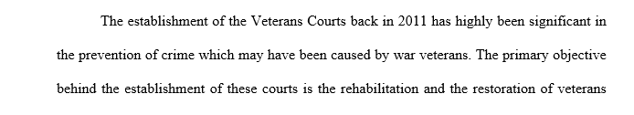 In 400-600 words discuss the following topic. Do you think it is appropriate to devote specific court resources to veterans in veteran’s courts?