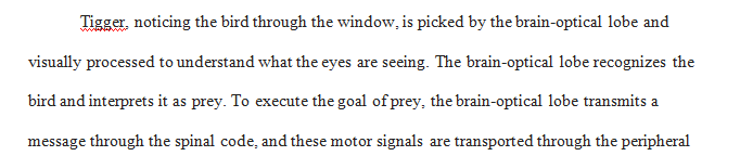 What role is each division of the nervous system playing in each scenario