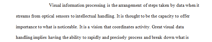 Write a 1,200- to 1,500-word paper in which you examine visual information processing.