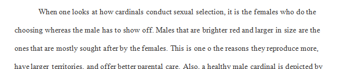 Like many species, sexual selection shows up in cardinals with the males having to show off and the females getting to choose.