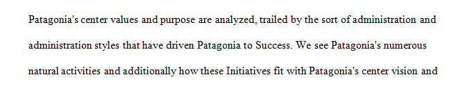 With regard to Patagonia what appear to be its key values and how does the company ensure that its employees share those values