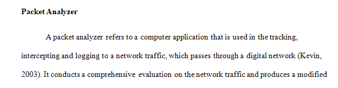 Define a packet analyzer and describe its use