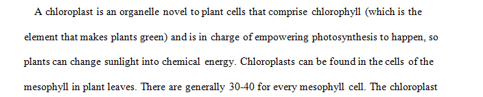 Describe the structure of a chloroplast. Where do the “photo” and the “synthesis” reactions occur during photosynthesis