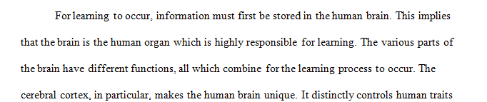 Discuss the parts of the brain as they relate to learning and memory.