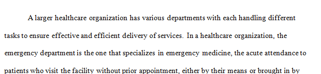 Select and describe a specific division of a larger healthcare organization