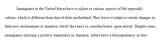 Write a reflective piece explaining the immigrant experience in the United States.