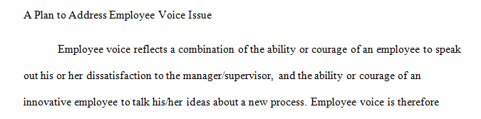 You are an HR Manager in the same organization as this sales employee and his manager