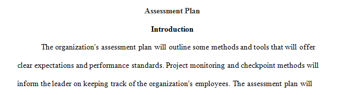 Develop an assessment plan for the organization described in the case study based on the leadership strategies you recommended and described in Milestone Two.