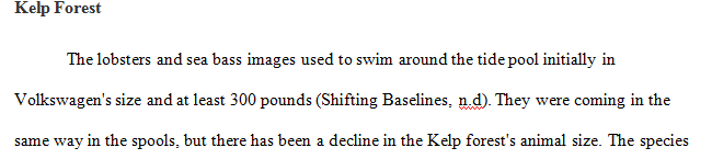 How do the images of abalone lobster and seabass in the 1940s demonstrate "shifting baselines"