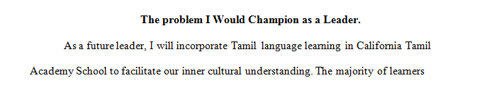 What is one big problem that you would like to champion as a future leader