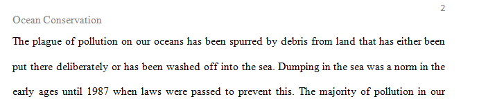 Write a 4~5 page essay about current solution we have for the trash problems in our oceans.