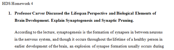 Explain synaptogenesis and synaptic pruning.