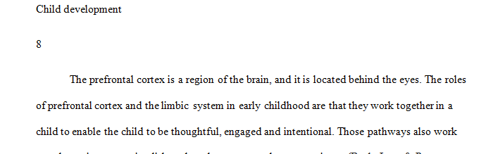 Explain the roles of the prefrontal cortex and limbic system in early childhood.