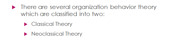 The CEO has hired you as an external organizational development consultant