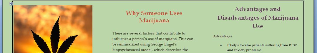 Understanding of substance use from the biopsychosocial model.