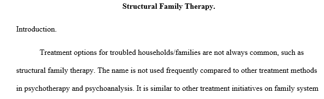 What is the presenting problem/s from a structural family therapy perspective?