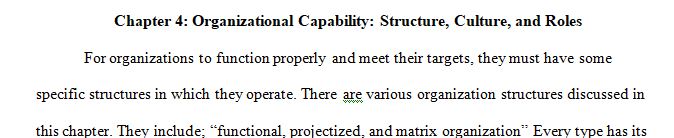 Read Chapter 4 Organizational Capability