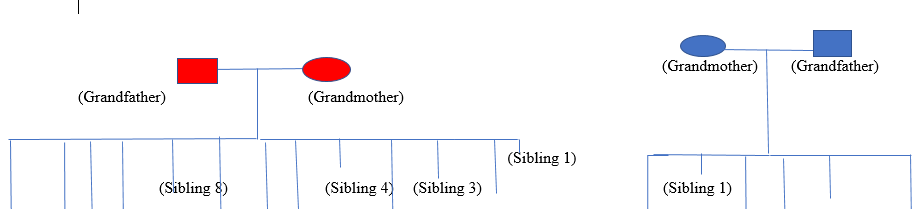 Submit your Genogram on your family.