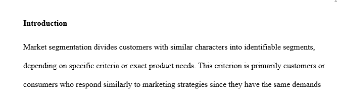 Why do you think market segmentation is important and what impact could it have on a company?