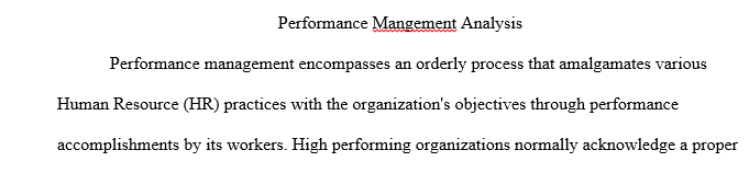 Explain the performance management system issues that resulted in performance problems.